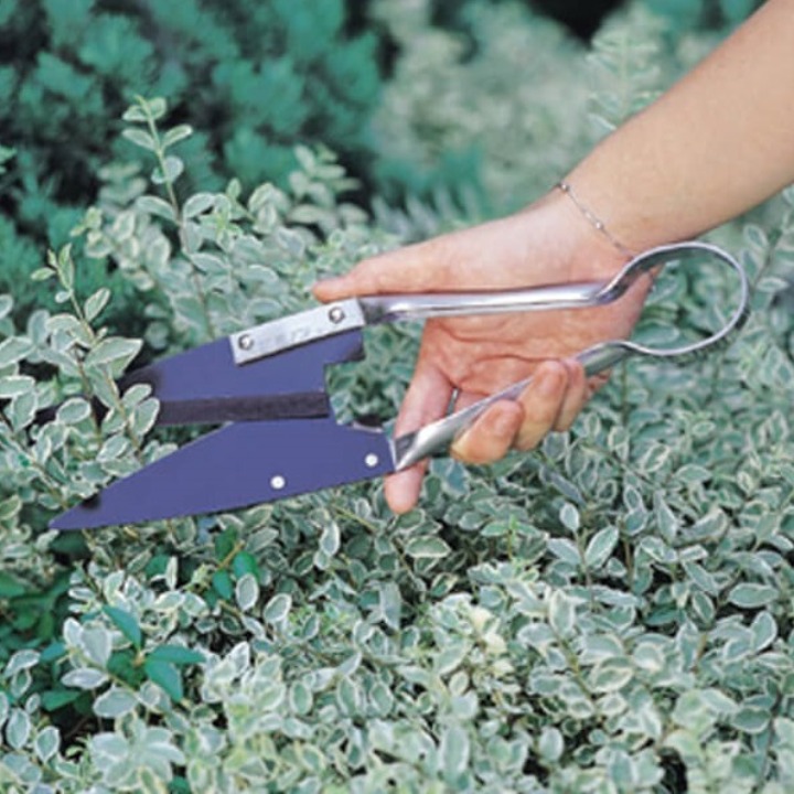 Leafage and Grass Shears - 3151