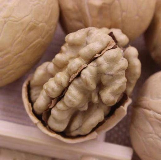 Chinesische Chandler Walnuss Inshell gute Qualität