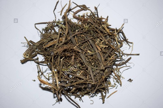 Eclipta Prostrata Dried Leaves