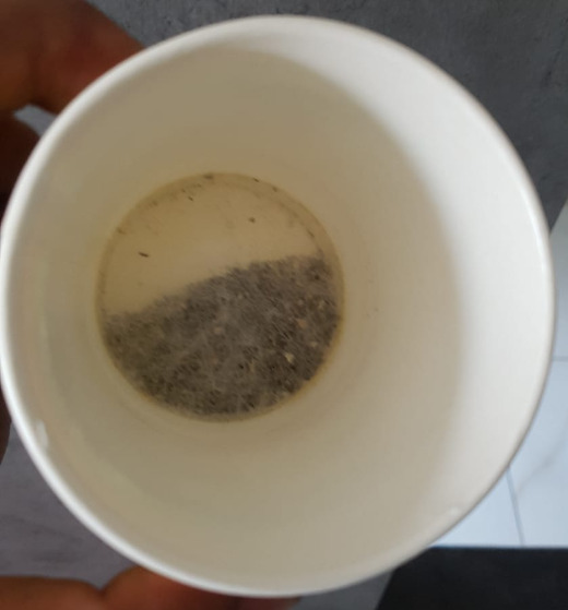 Green Tea with Paper Cup Packing