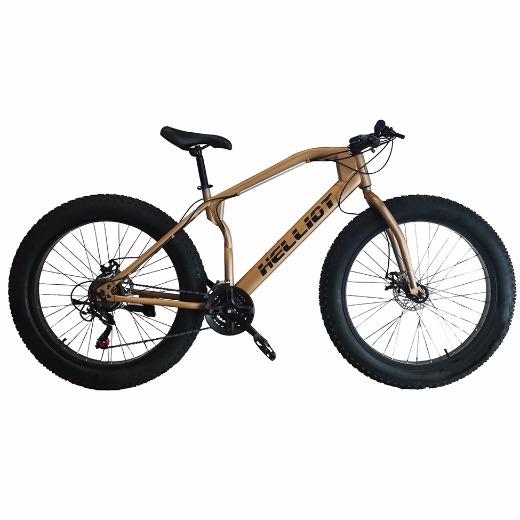 Helliot Bikes Fatbike Bull Brown Mountain Bike