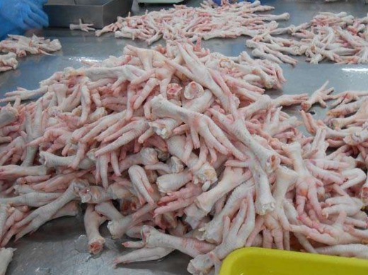 BRAZIL HALAL FROZEN WHOLE CHICKEN, FROZEN CHICKEN PAWS FROZEN PROCESSED CHICKEN MIDDLE JOINT WINGS