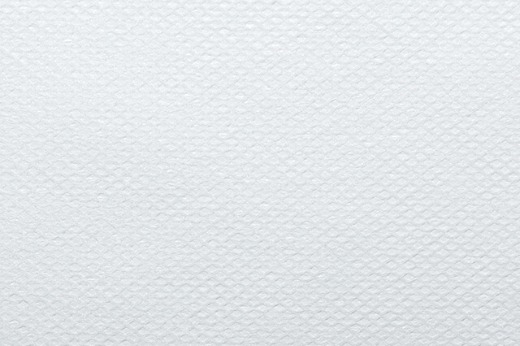 SSPP Nonwoven Fabric + Laminating Film