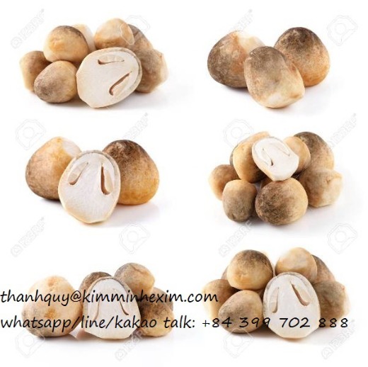 CANNED STRAW MUSHROOM (PEELED/UNPEEL/BROKEN)