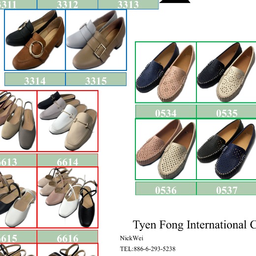 Shoes ( Made in taiwan )