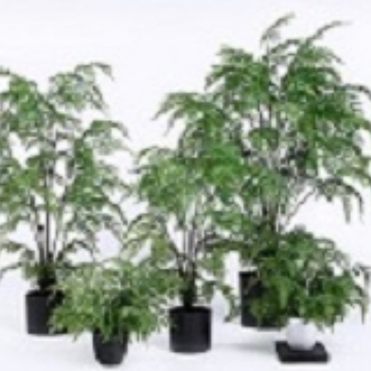 Popular Faux Fern Tree