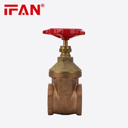 IFAN Brass 1/2 - 4 Inch Female Thread Valve Brass Gate Valve