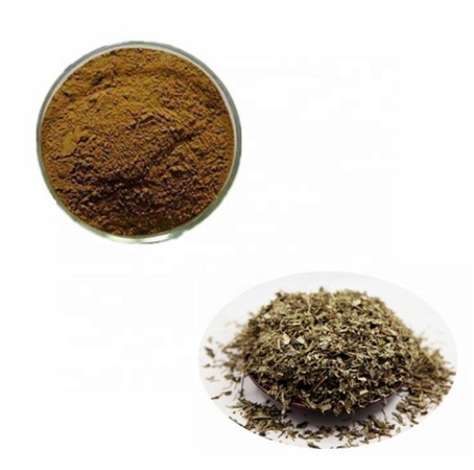 Phyllanthus Amarus Dried Leaves