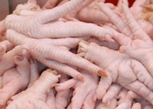 frozen chicken Paws
