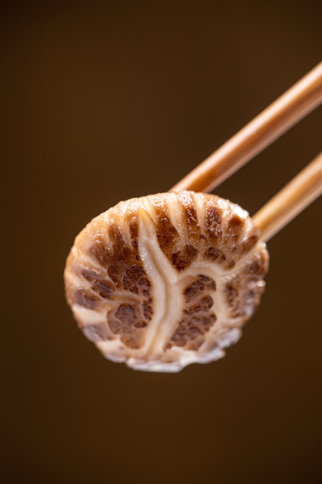 Royal Expo Garden super white mushroom 3-4cm 250g original ecological agricultural products