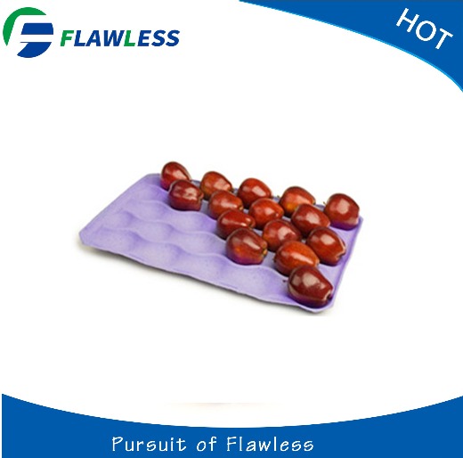 Paper Pulp Fruit Tray