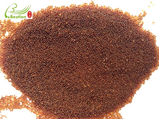 grape skin pigment extraction resin