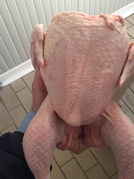 Frozen Whole Chicken- Halal