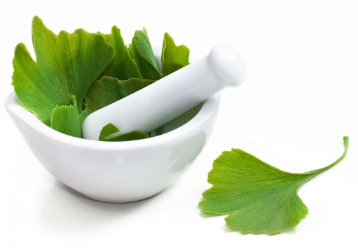 Ginkgo Biloba Extract