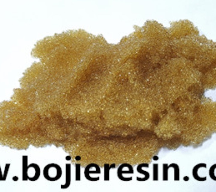 grape skin pigment extraction resin