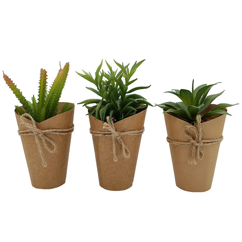 Xianju Can fake plant decoration