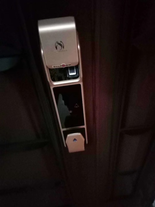 Manufacturers sell smart locks, security doors