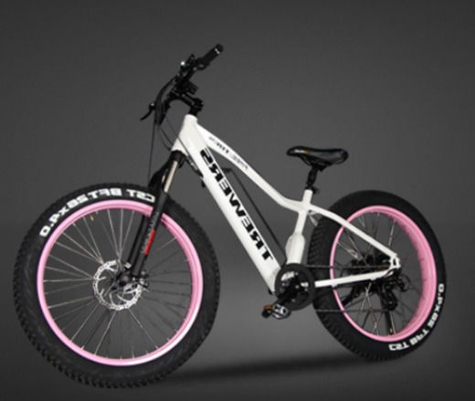 ELECTRIC BIKE/PEDELEC-TS-EB003
