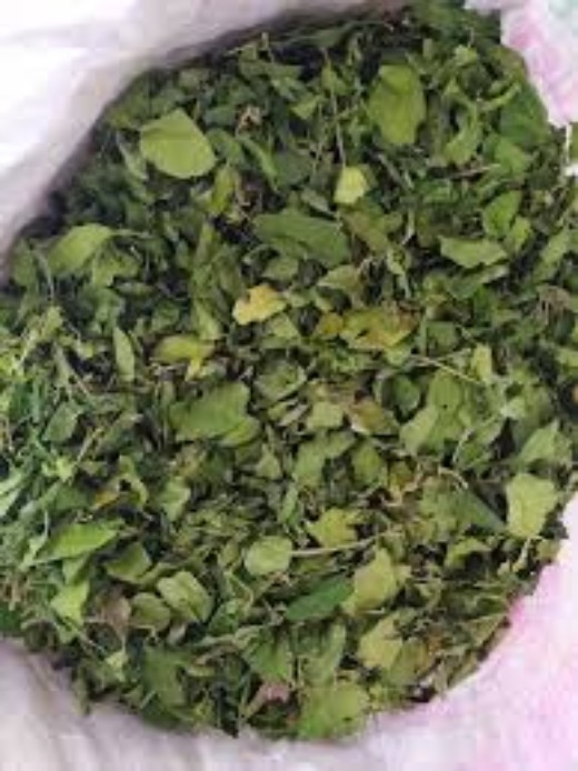 Gymnema Sylvestre Dried Leaves