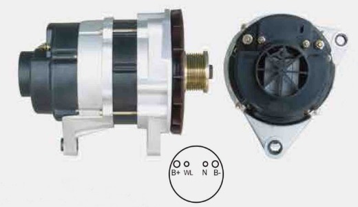 Factory Suppily 54 volt car low rpm generator alternator for Advertising vehicle 