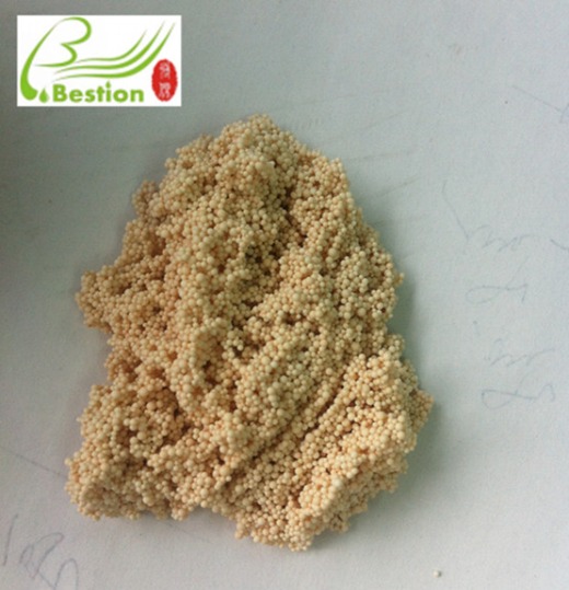 Adsorption and Separation of Total Flavonoids from Lobelia Leaves by Macroporous Resin