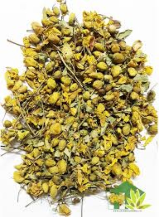 Cassia Auriculata Dried Flower