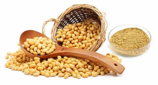 Soybean Isoflavones