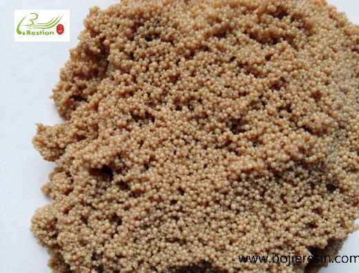 Salvianolic acid B separation adsorption resin