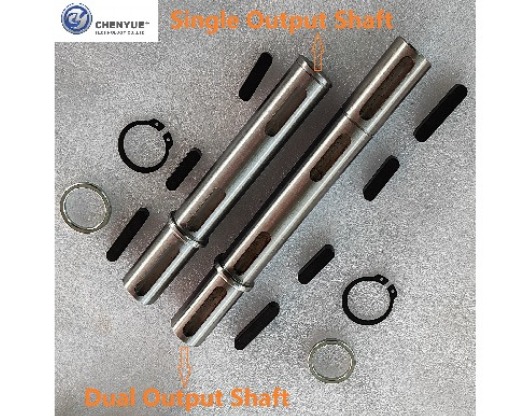 CHENYUE DAUL OUTPUT SHAFT MATCHING FOR WORM GEAR REDUCER NMRV090/ RW090 /VF090