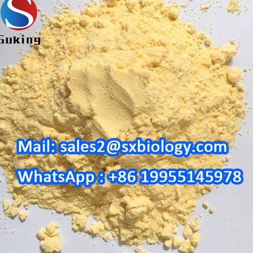 BMK /PMK powder /ET/EU/5cl/2F