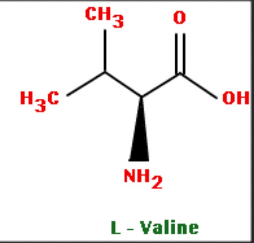 L Valine