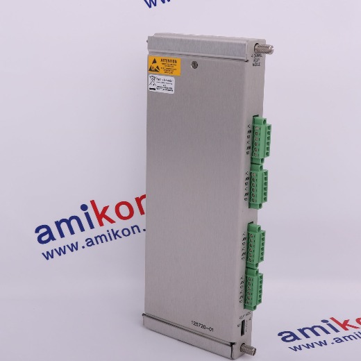 BENTLY NEVADA 1460/31-01