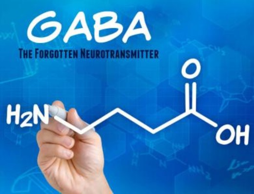 GABA (gamma aminobutyric acid)