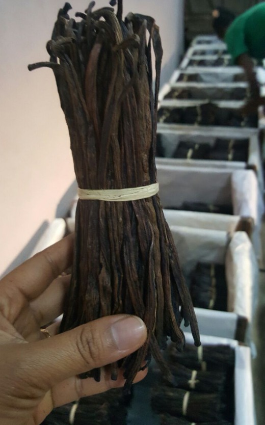 BLACK VANILLA BEANS