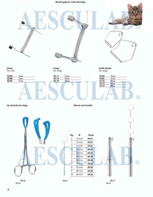 Small Animal Dental Instruments