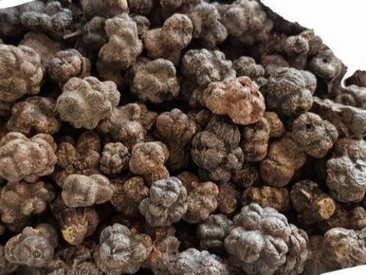 Morinda Citrifolia Dried Fruit