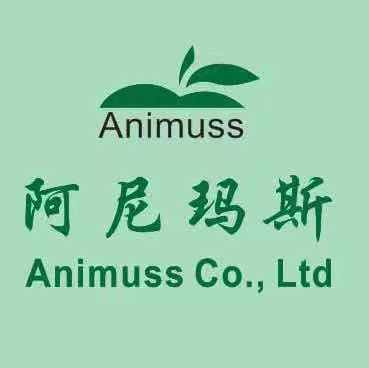 Animuss Company Limited