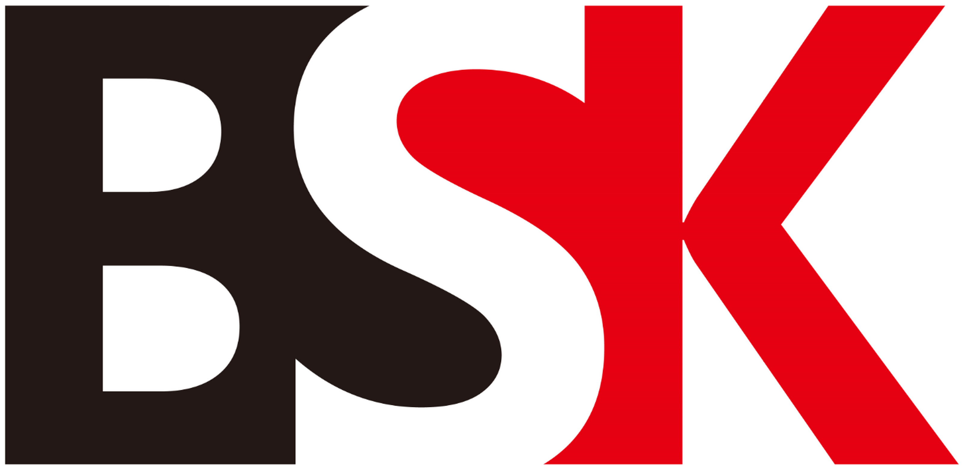 BSK PRECISION TECHNOLOGY LIMITED