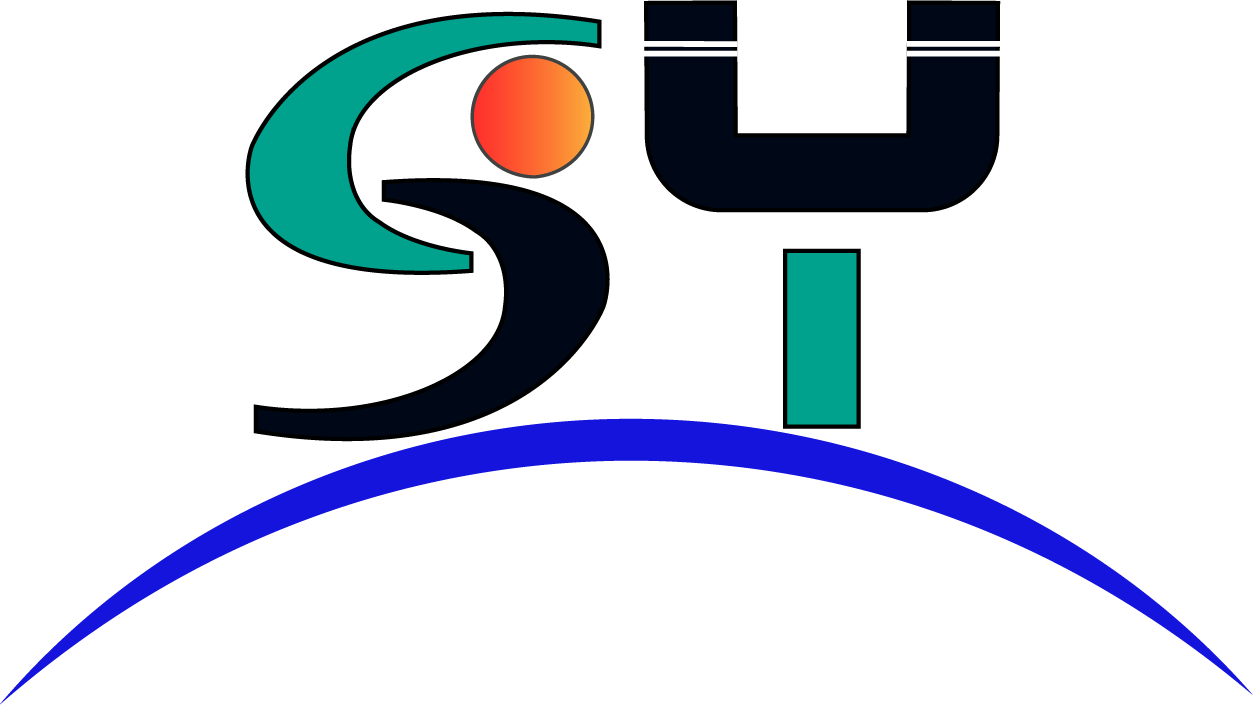 SaiYue Technology Co., Ltd