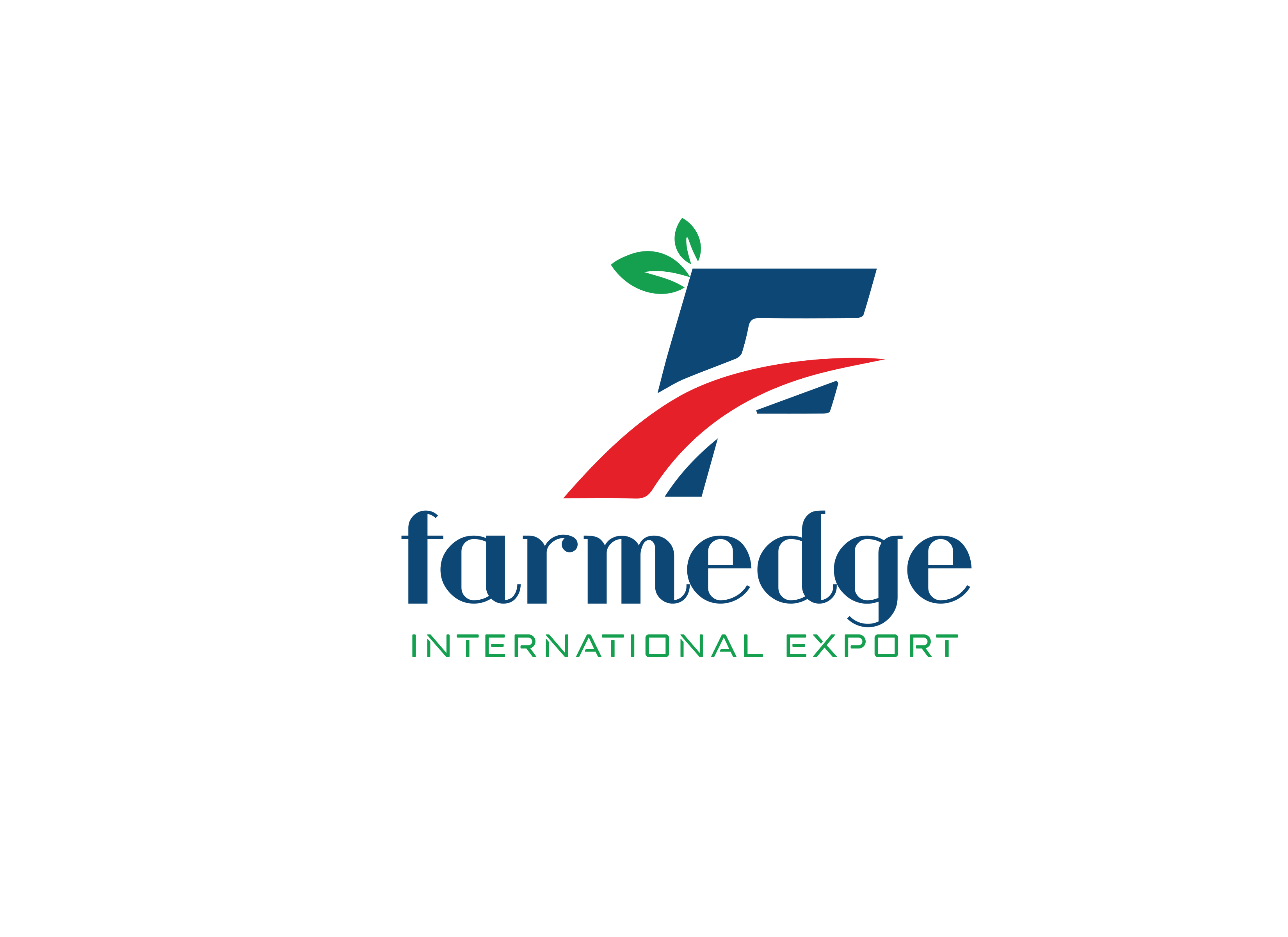 FAREMEDGE INTERNATIONAL EXPORT PVT LTD