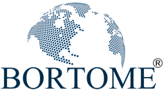 Bortome tungsten carbide