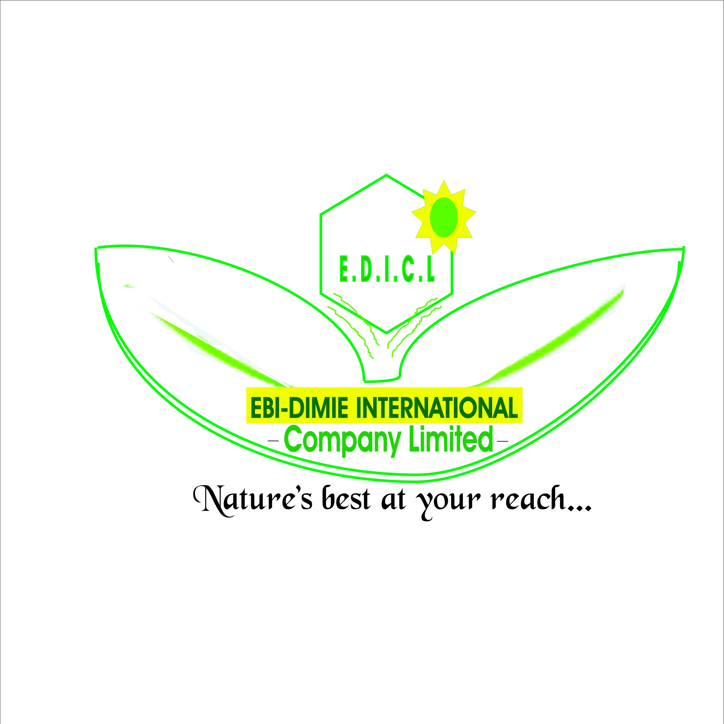 Ebi-Dimie Int'l company Limited