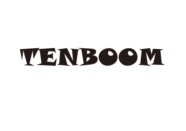 Ningbo Tengbo Intelligent Technology Co.,Ltd.