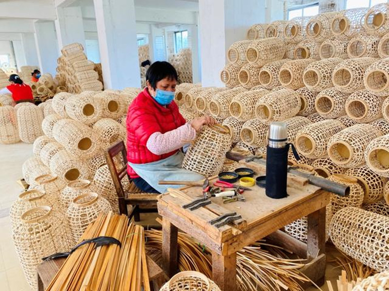 Dongguan Lanzhixiang Elastic Products Co., Ltd.