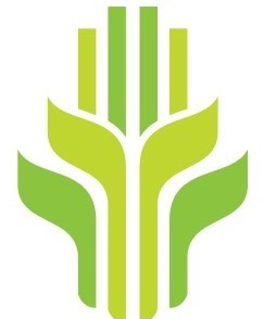 Shenzhen WQ Silicone Rubber Products CO,. LTD