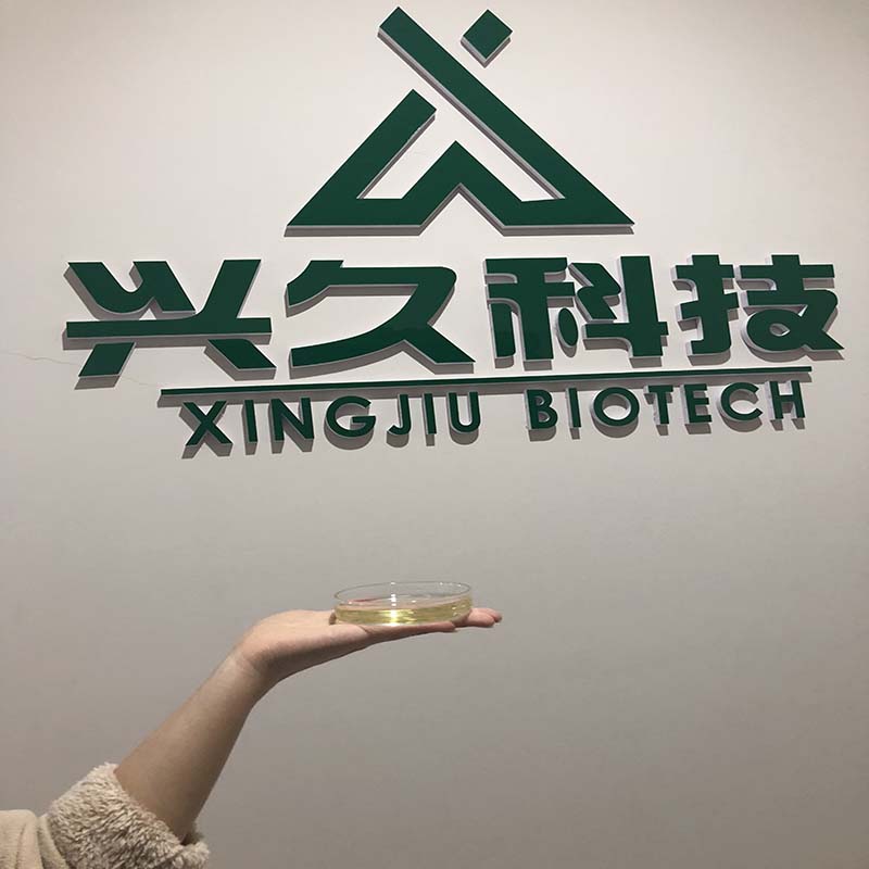 XINGTAI XINGJIU NEW MATERIAL TECHNOLOGY CO., LTD.