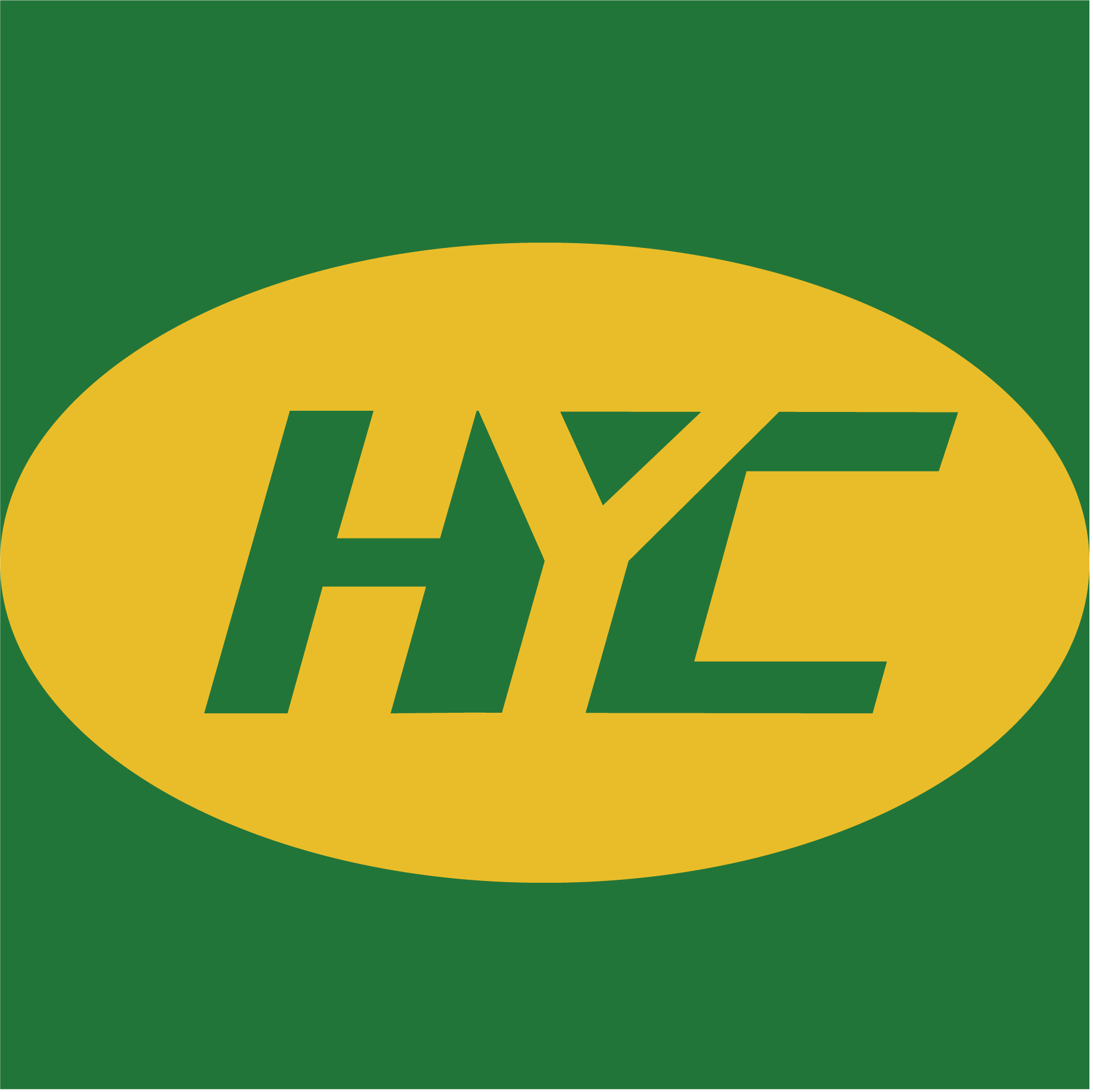 Hebei Heyuchen Automotive Parts Manufacturing Co.,