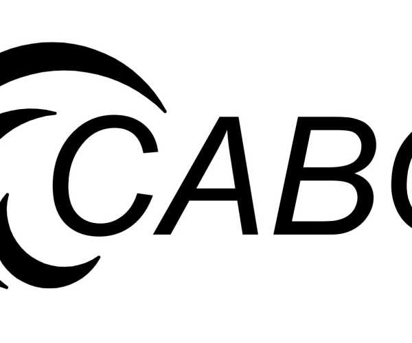 CABO Electronics(Foshan) Ltd.